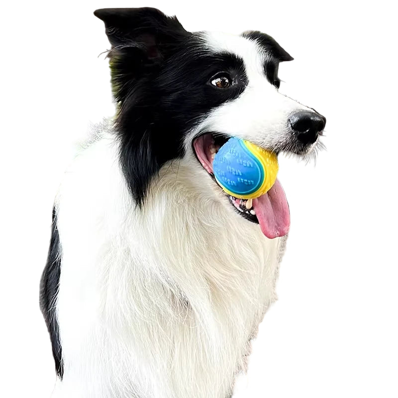 Squeaky Chew Ball for Dogs