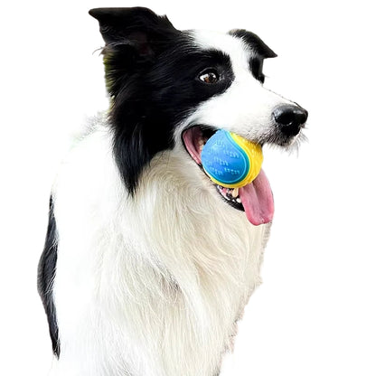 Squeaky Chew Ball for Dogs